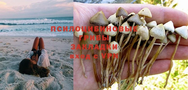 spice Балахна