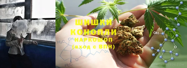 стаф Баксан