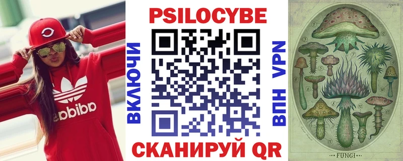 Галлюциногенные грибы MAGIC MUSHROOMS  нарко площадка Telegram  Верея 